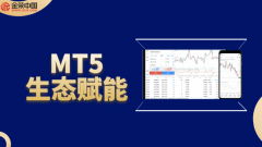 超百万投资者选择的伦敦金平台：解析金荣中国