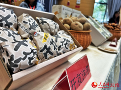 云南东川：院府合做共建 鞭策梯度种业复兴